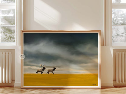 Majestic elks in yellow grasslands with stormy clouds overhead.