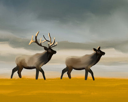 Wildlife landscape featuring elks under a brooding sky.
